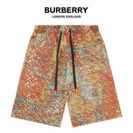 Picture of Burberry Short Pants _SKUBurberryM-3XLjdtxk2616542